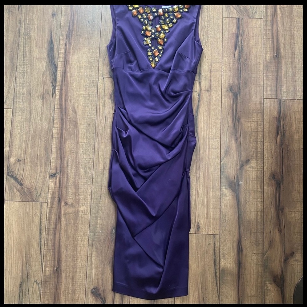 Cache Plum cocktail dress. Very elegant